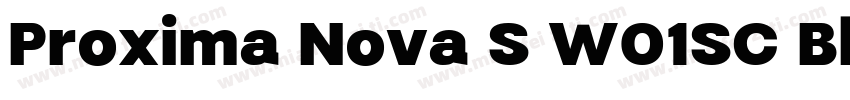 Proxima Nova S W01SC Black字体转换